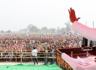 akhilesh yadav