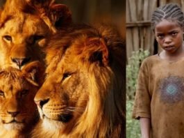 …जब तीन शेर बने लड़की के रक्षक Lions and Girl