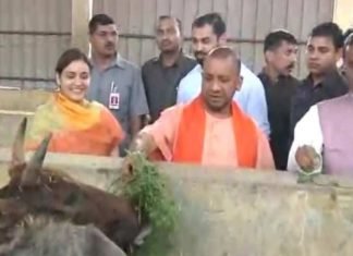 CM Yog