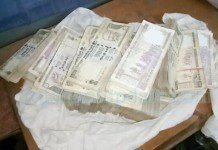 रविदास मेहरोत्रा