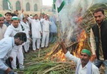 किसानों ने जलाई गन्‍ने की होली