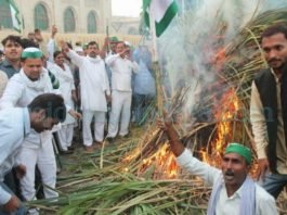 किसानों ने जलाई गन्‍ने की होली
