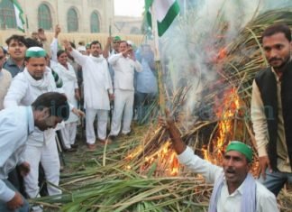 किसानों ने जलाई गन्‍ने की होली