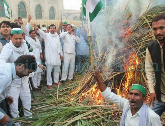 किसानों ने जलाई गन्‍ने की होली