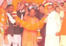 कमल का फूल