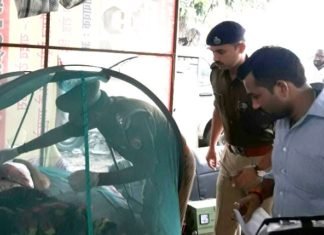 बुजुर्ग की हत्या