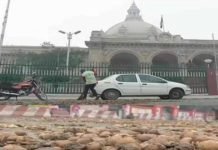 नाराज किसान