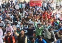 बीएड टीईटी प्रदर्शन