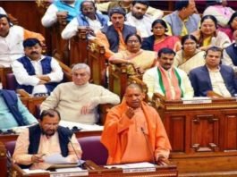 सर्कस का शेर