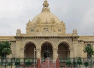 13 एमएलसी