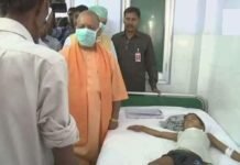 कुत्तों के हमले