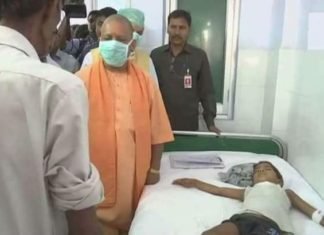 कुत्तों के हमले