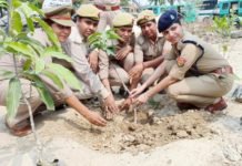 विश्व पर्यावरण दिवस पर राजधानी में महिला पुलिस कर्मियों ने भी किया पौधारोपण सीओ कैण्ट तनु उपाध्यारय