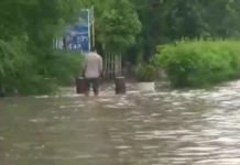 यमुना का जलस्तर