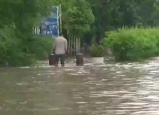 यमुना का जलस्तर