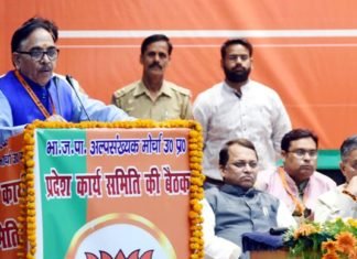 अल्पसंख्यक मोर्चा कार्य समिति