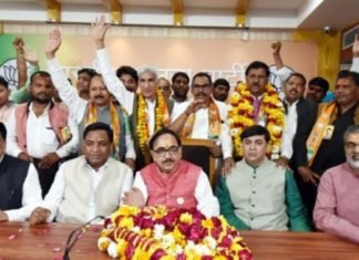 राजनारायण बुधौलिया