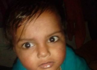 क्रेन