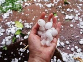 मौसम विभाग ने जारी की UP के इन जिलों में ओले गिरने की चेतावनी ओलावृष्टि