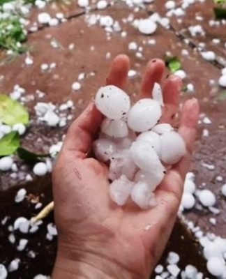 मौसम विभाग ने जारी की UP के इन जिलों में ओले गिरने की चेतावनी ओलावृष्टि