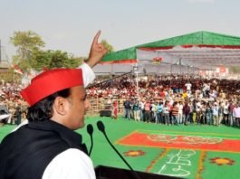 छुट्टा जानवरों