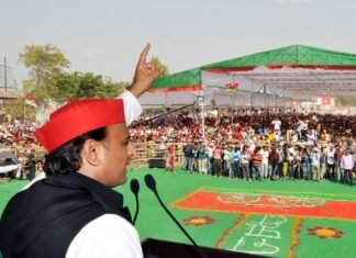 छुट्टा जानवरों