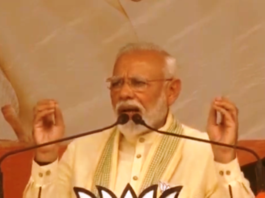 महामिलावटी