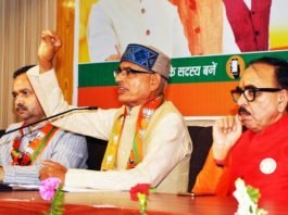 कहीं का रोड़ा