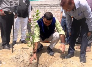 प्रमुख सचिव न्याय