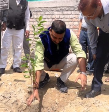 पौधारोपण कर बोले प्रमुख सचिव न्याय, इसको संभालना हम सभी की जिम्मेदारी प्रमुख सचिव न्याय