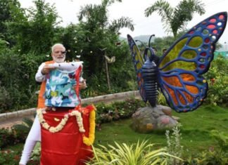 नर्मदा नदी