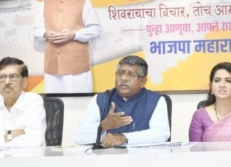 राफेल विमान
