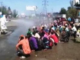 #Lockdown: प्रशासन का अमानवीय चेहरा आया सामने, बरेली पहुंचे मजदूरों पर किया गया डिसइंफेक्ट का छिड़काव, वीडियो वायरल डिसइंफेक्ट