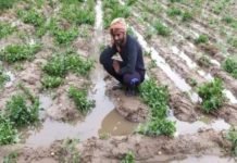 प्रियंका का योगी सरकार पर हमला, कोरे दावे की जगह नुकसान का दें किसानों को मुआवजा ओलावृष्टि