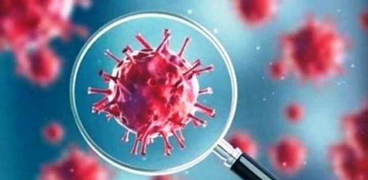 भारत में 11 हजार के करीब पहुंची कोरोना संक्रमितों की संख्या, 24 घंटे में 47 की मौत, सामने आएं 1663 नए मामले यूपी मे कोरोना