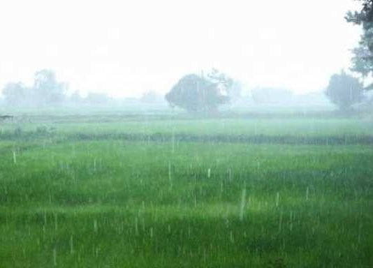 यूपीवासियों को मिलेगी भीषण गर्मी के प्रकोप से राहत, मौसम विभाग ने बताया किस दिन आएगा मानसून मानसून