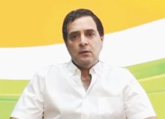चाय बागान