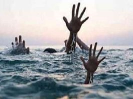 टिकटॉक वीडियो