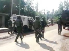 तुर्कवंगम