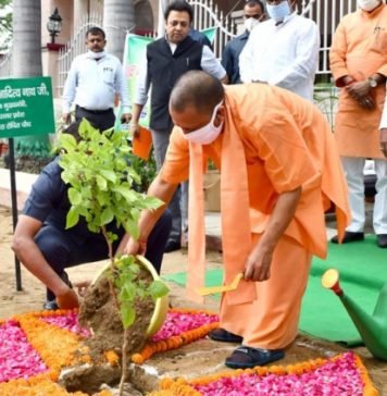 जन्मदिन व पर्यावरण दिवस पर CM योगी ने दिया पौधारोपण का संदेश, कही ये खास बातें योगी का जन्मादिन