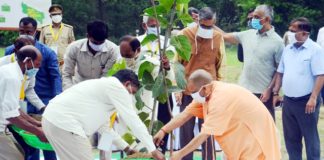 औषधीय प्रजातियों की वनस्पतियों