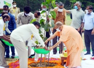 औषधीय प्रजातियों की वनस्पतियों
