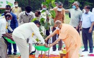 औषधीय प्रजातियों की वनस्पतियों