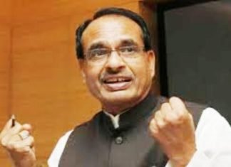 सरकारी नौकरियां