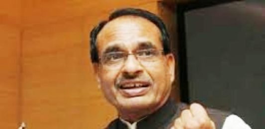 सरकारी नौकरियां