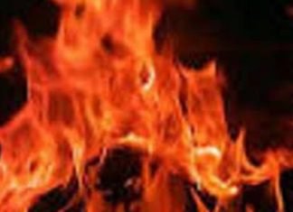 कौशल विकास मिशन