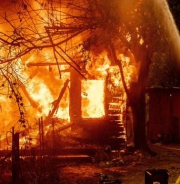 दर्दनाक मौत