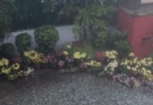 दिल्‍ली में बारिश