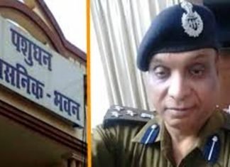 पशुधन घोटाला: 50 हजार के इनामी IPS अरविंद सेन ने किया कोर्ट में सरेंडर, भेजे गए जेल पशुधन घोटाला