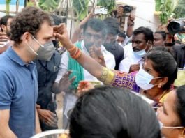 जल्लीकट्टू
